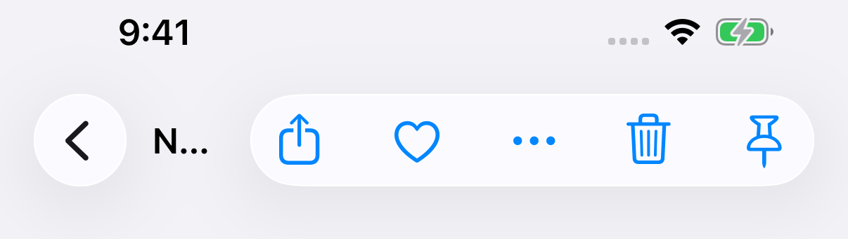 A round back button, a title cut down to N with an ellipsis, and a capsule with five items.