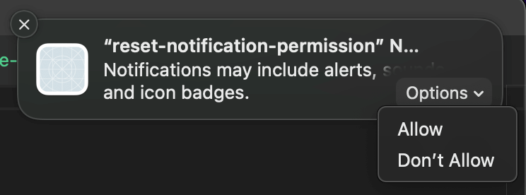 Notification permission dialog.