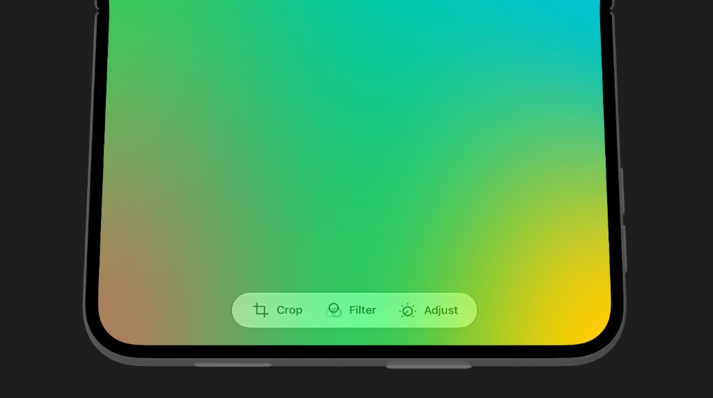 A custom Crop, Filter, and Adjust panel in a horizontal toolbar, with titles beside each symbol.